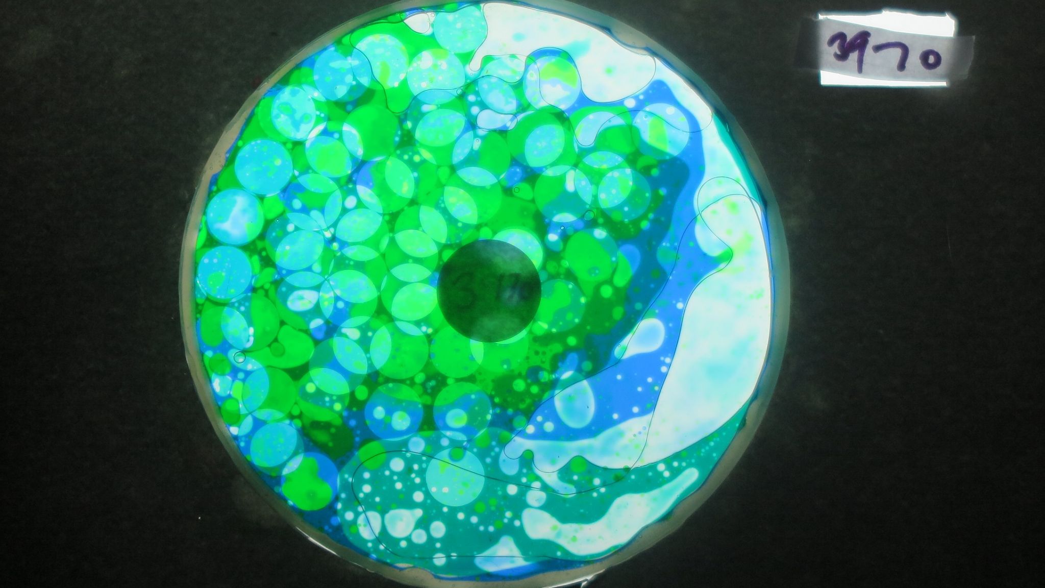 BV3970 bubble vision oil wheel